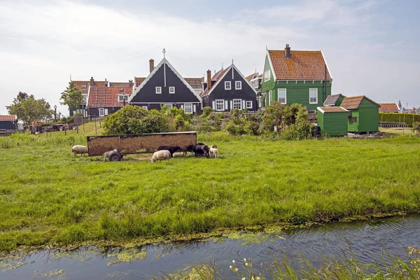 Maisons traditionnelles néerlandaises à la campagne des Pays-Bas — Photo