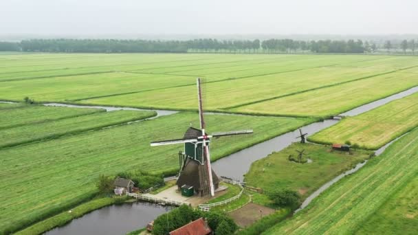 Ветряная Мельница Сельской Местности Нидерландов — стоковое видео