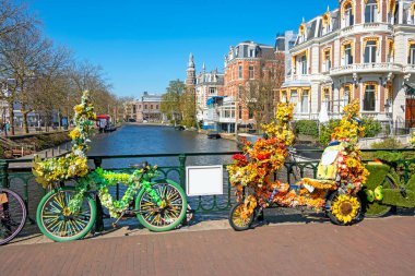 İlkbaharda Amsterdam 'da çiçeklerle süslenmiş bisikletler.