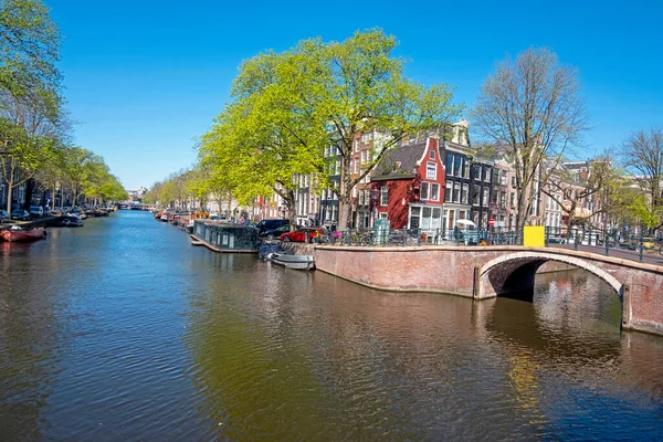 Couronne Roi Willem Alexander Reine Maxima Des Pays Bas Monument — Photo