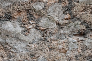 Yeşil yosun ve eğreltiotu ile eski beton veya kaya duvar