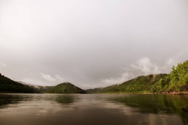 Karpatya Zetelaka Gölü 'nün ayna suyu. Yağmurdan sonra güzel manzara