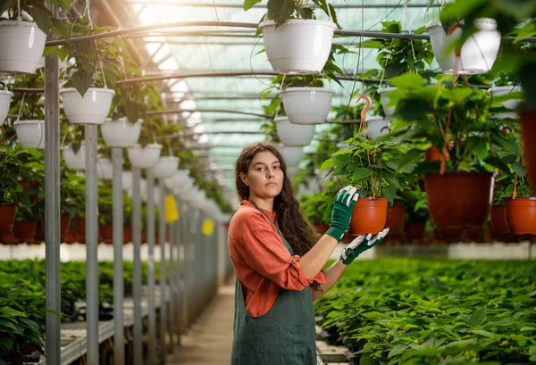 Cropped portrait of young female gardener in the sunny greenhouse — Stock Photo, Image