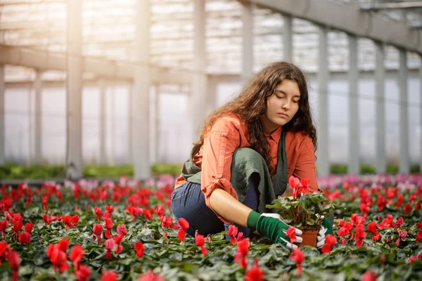 Cropped portrait of young female gardener in the sunny greenhouse — Stock Photo, Image