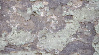 Zemin beton ya da beton duvar dokusu, eski duvar deseni