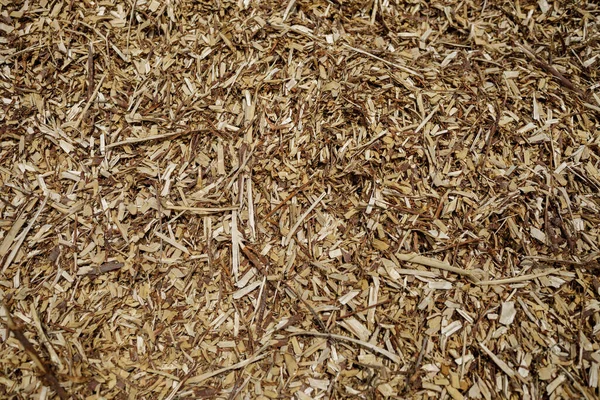 Aserrín o combustible orgánico para invernadero. Montaje virutas de madera. — Foto de Stock