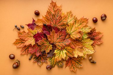 Açık turuncu arkaplanda logo ya da tasarım için boş alanı olan renkli kuru yaprakların olduğu rahat sonbahar tarzı düz bir yer.