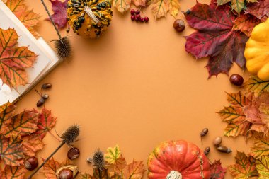 Açık turuncu arkaplanda logo ya da tasarım için boş alanı olan renkli kuru yaprakların olduğu rahat sonbahar tarzı düz bir yer.