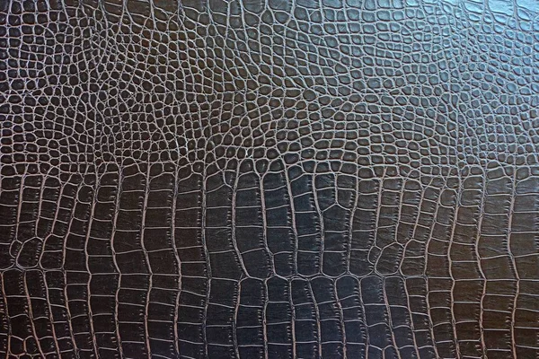 crocodile leather texture closeup background