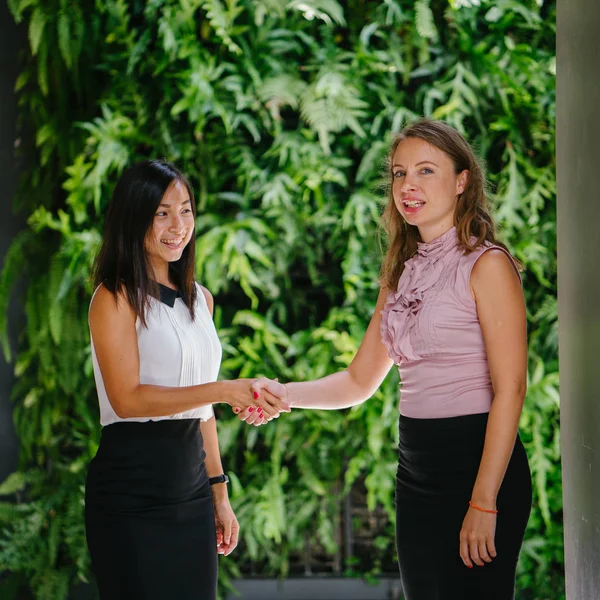 Portret Van Een Divers Team Van Twee Collega Een Chinese — Stockfoto