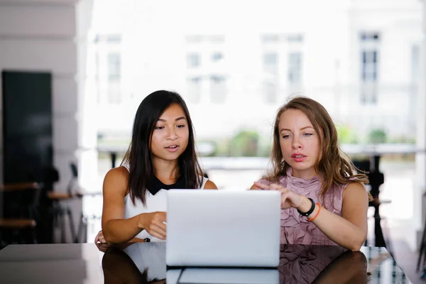 동료의 초상화 아시아 여자와 노트북 컴퓨터에 Dcf Cashflow 하루에 — 스톡 사진