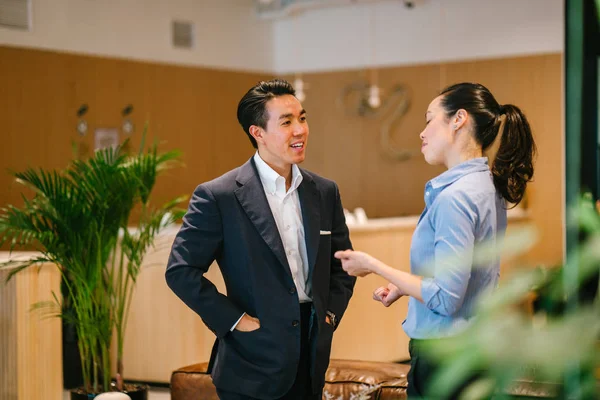 Two Business People Discussing Project Standing Modern Office Green Plants — Stock Photo, Image