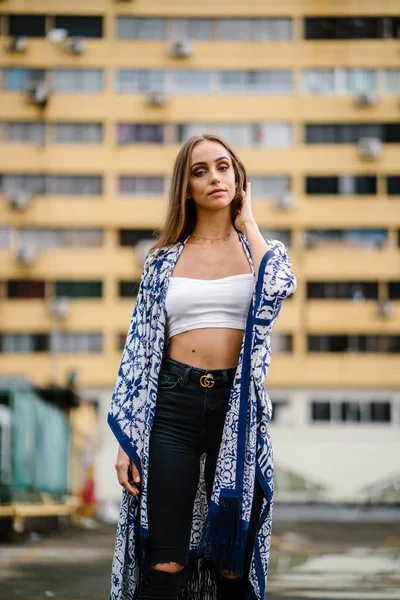 arka plan, açık portre bina uzun saç konumu olan güzel şık kadın