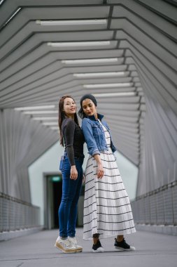 Gündüz vakti köprüde farklı etnik kökenlere sahip iki arkadaş. Biri Malezyalı Müslüman bir kadın, diğeri de Çinli bir Asyalı. İkisi de genç, enerjik ve çekici..