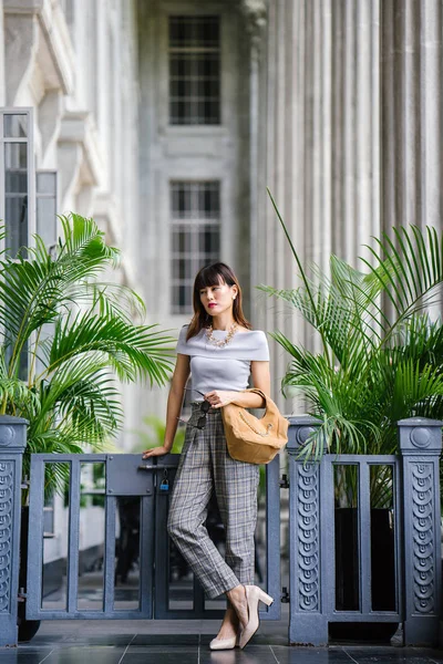 Mujer China Asiática Elegante Atractiva Ella Está Elegantemente Vestida Atractiva —  Fotos de Stock