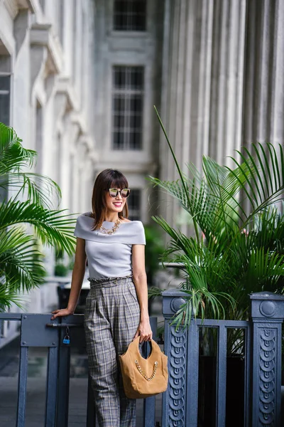 Mujer China Asiática Elegante Atractiva Ella Está Elegantemente Vestida Atractiva —  Fotos de Stock