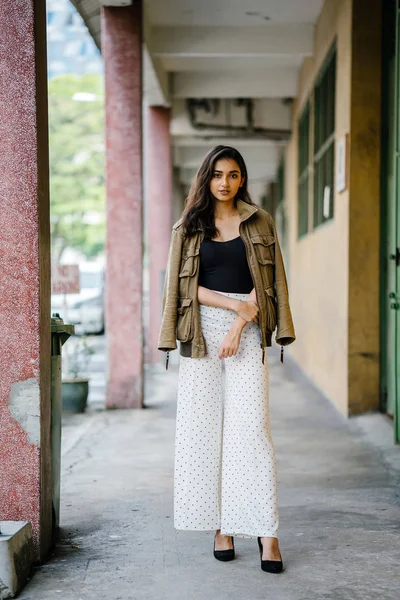 Gün boyunca bir geçit Asya'da bir şehirde yürürken bir uzun boylu, güzel, ince ve zarif Hint Asyalı kadın portresi. O zarif giyindi ve bir ceket omuzları üzerinde bol dökümlü vardır.