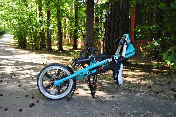 Strida katlama döngüsü profili.