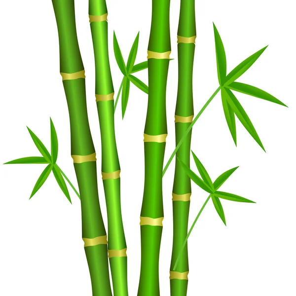 Green Bamboo Stems Leaves White Background Vector Illustration — Stock Vector