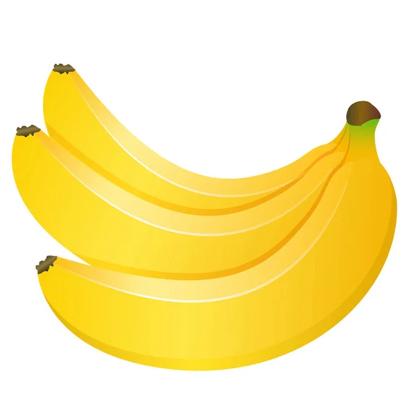 Knippa Tre Bananer Isolerad Vit Bakgrund Vektorillustration — Stock vektor