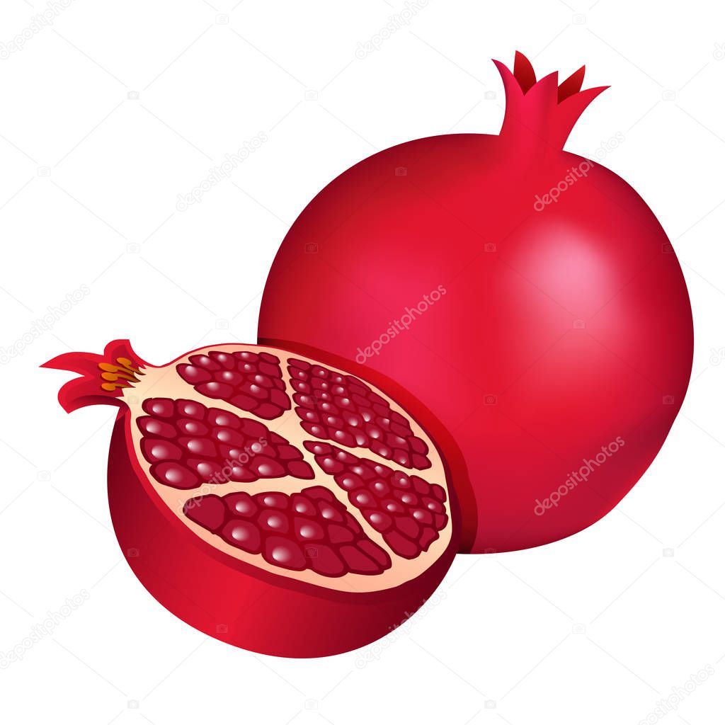 Dark red half pomegranate and a pomegranate isolated on a white background. Vector illustration.