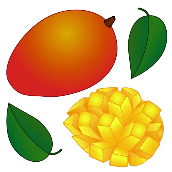 Mango Tropicale Giallo Rosso Con Foglia Verde Una Fetta Mango — Vettoriale Stock