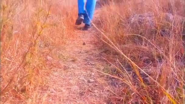 男の黒い靴の足跡は ハイキング歩く中に靴底の映像を閉じます 足や靴の部分的なビュー 青いジーンズ 風が乾いた草を吹いて外に出ると 岩の上を歩いて姿を消します — ストック動画