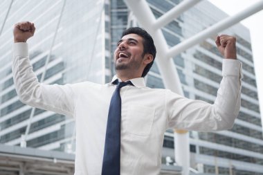 güçlü Asya iş adamı; Asya, Kuzey Hint başarılı, mutlu, kendine güvenen işadamı, ofis çalışanı, iş yürütme, patron, Yöneticisi portresi