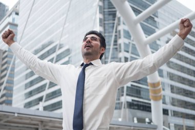 güçlü Asya iş adamı; Asya, Kuzey Hint başarılı, mutlu, kendine güvenen işadamı, ofis çalışanı, iş yürütme, patron, Yöneticisi portresi