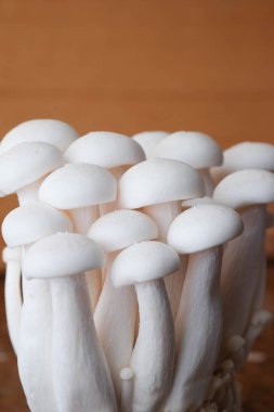 Mantar yemek pişirmek için ahşap masa ham madde üzerinde