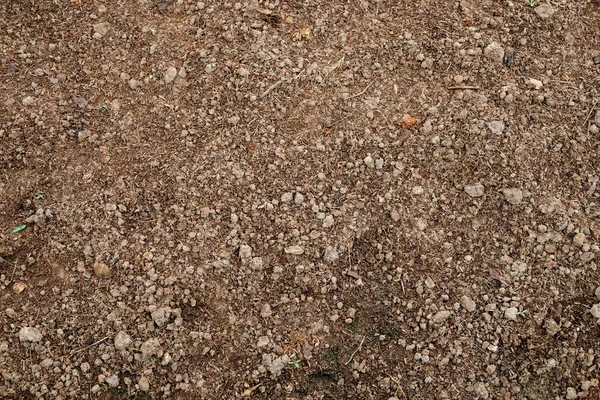 Peat Soil Background — Stock Photo, Image