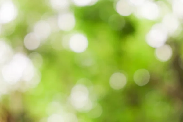 Abstrato Verde Bokeh Natureza Fundo — Fotografia de Stock