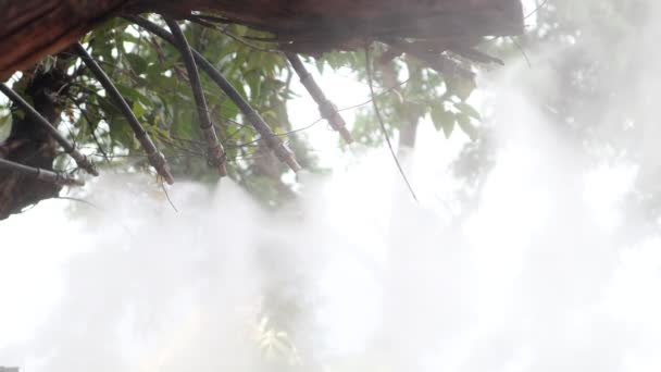 Fog Water Mist Spray Nozzle Setup Tree Watering Plant Flower — Stock Video