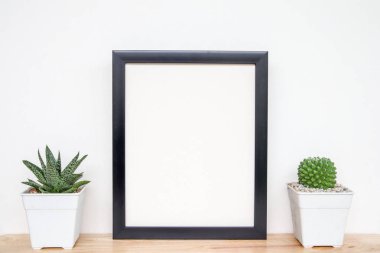succulents ya da kaktüs raf ve sahte çerçevelemek fotoğraf kadar beyaz arka plan üzerinde beton tencere