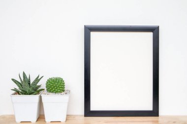 succulents ya da kaktüs raf ve sahte çerçevelemek fotoğraf kadar beyaz arka plan üzerinde beton tencere