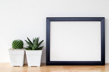 succulents ya da kaktüs raf ve sahte çerçevelemek fotoğraf kadar beyaz arka plan üzerinde beton tencere
