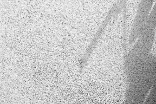在混凝土墙上的影子叶黑色和白色抽象背景 Textuer — 图库照片