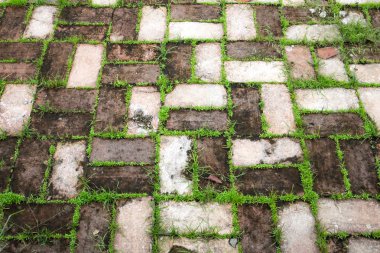 yeşil çim kaldırım taşı yolda dokusuna