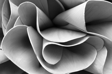 Mimari soyut satırlarda. modern mimari detay. Zarif çağdaş iç / kamu Binası parçası