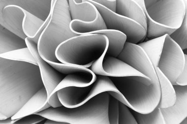 Mimari soyut satırlarda. modern mimari detay. Zarif çağdaş iç / kamu Binası parçası