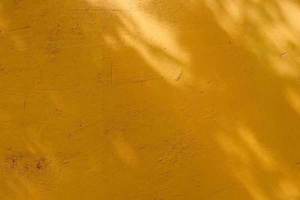 Abstrato Fundo Textuer Sombras Folha Uma Parede Concreto — Fotografia de Stock