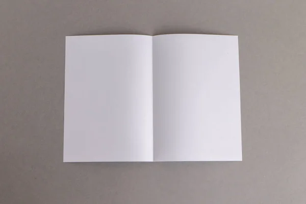 Plantilla Pliegue Papel Blanco Sobre Fondo Gris Concepto Bussnese —  Fotos de Stock