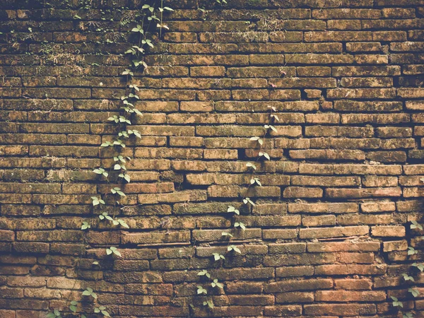 Грандж Цегляної Стіни Текстури Фону — стокове фото