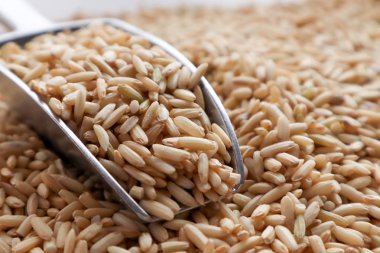 Ham kahverengi pirinç bir kaşık ve kase. üstten görünüm gıda arka plan