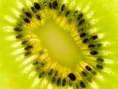 Doku arka Kivi Meyve kapatmak