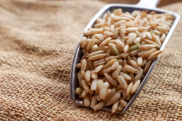 Raw brown rice in a spoon and bowl. top view food background