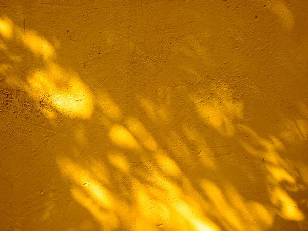 abstract background texture of shadows leaf on yellow concrete wall