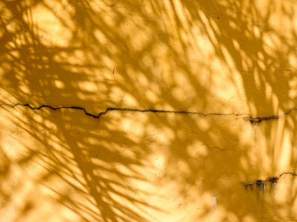 Abstrato Fundo Textura Sombras Folha Parede Concreto Amarelo — Fotografia de Stock