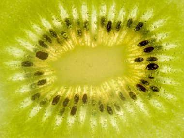 Doku arka Kivi Meyve kapatmak