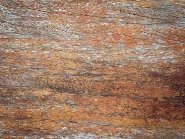 Grunge ahşap doku arka plan tasarımı için